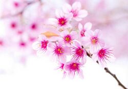 Женское состояние Оксана Алексеева