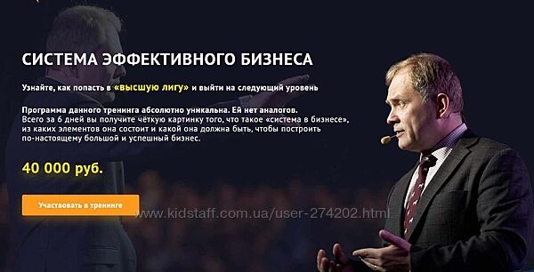 Система эффективного бизнеса Александр Высоцкий