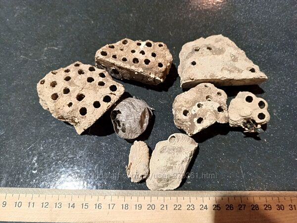 Осиное гнездо оригинал.